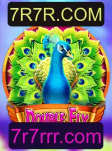DoubleFly: Exploração do Jogo e Regras Atrativas